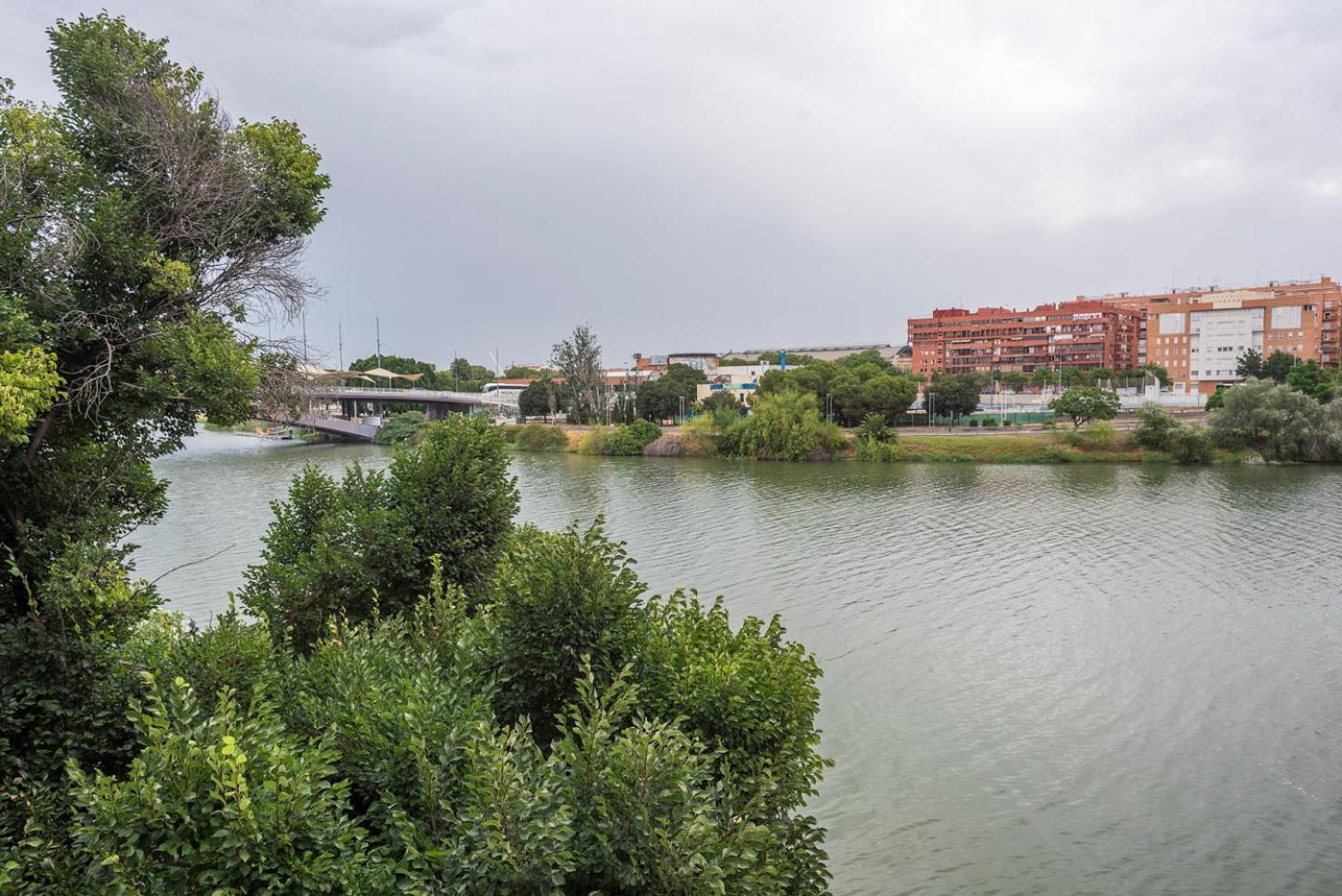 Alohamundi Castilla V-Vi Séville Extérieur photo